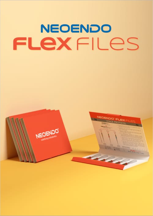 Neoendo Flex Files 25-4-25MM